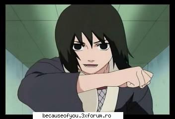 shizune 8d