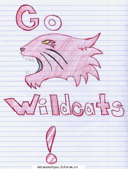 go wildcats :rotfl: desenele mele idioate .-. (unele is in paint .u.)